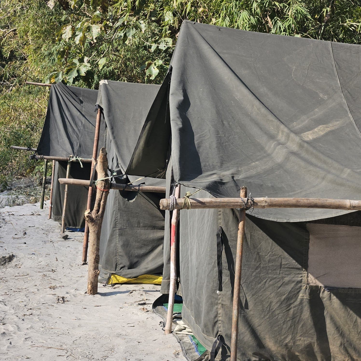 College Group Adventure Camping Tour Packages In Rishikesh
